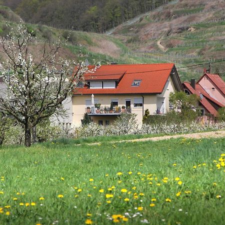 Ferienwohnung Graf 福格茨堡 外观 照片