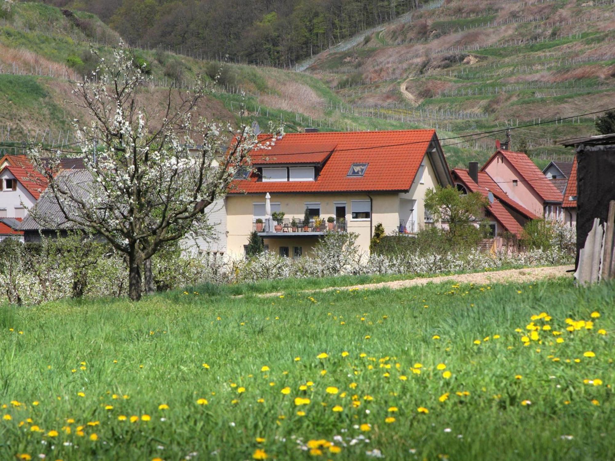 Ferienwohnung Graf 福格茨堡 外观 照片